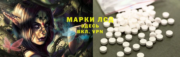 мдпв Бородино