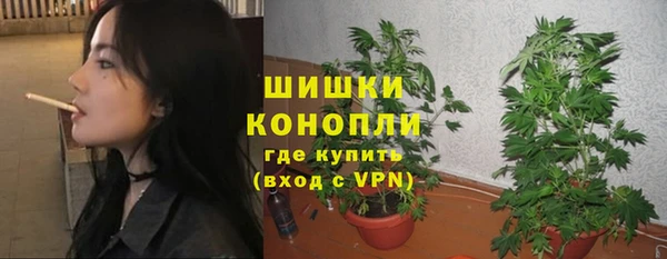 мдпв Бородино