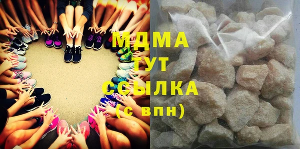 мдпв Бородино