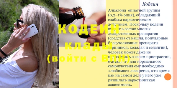 мдпв Бородино