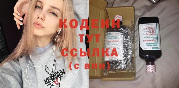мдпв Бородино