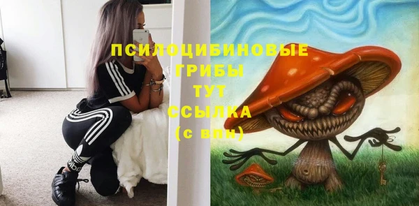мдпв Бородино