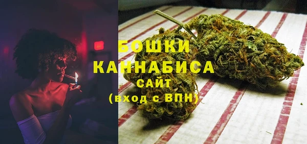 мдпв Бородино